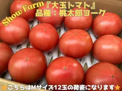 【大変お待たせいたしました‼︎🍅】Show Farmの『大玉トマト』（品種:桃太郎トマト（大玉トマト）、サイズ:Mサイズ（1玉約150g×12玉入）、Lサイズ（1玉約200g×9玉入）内容量:約1.8kg）のサムネイル