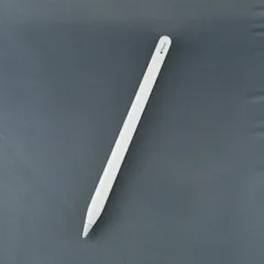 Apple Pencil USB-C USED美品 本体のみ MUWA3ZA/A タッチペン アップルペンシル iPad Pro Air mini 完動品 中古 V1914