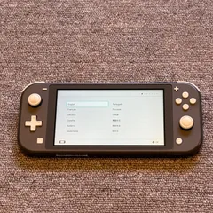3-029【訳あり】Switch Lite グレー 本体のみ
