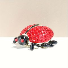 クリスチャンディオール Christian Dior ピンバッジ てんとう虫 - メルカリ