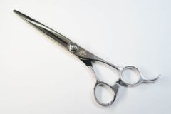 Item thumbnail for item 5deb2219-c7ee-43df-b23a-b02747ca26d5