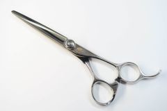 Item thumbnail for item 35da7211-a760-48fb-a433-4637172dcb0a