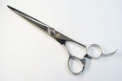 Item thumbnail for item f7f460b1-ccea-42aa-a4ab-4c6ebb2b138a