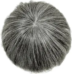 ルスブリラーレ (Luce brillare) ヘアピース 人毛 部分ウィッグ かつら 男性 女性 カツラ トップウィッグ メンズ レディース つむじ 頭頂部 トップピース ポイントピース 人毛100% 部分カツラ (黒5白5,  フリーサイズ)