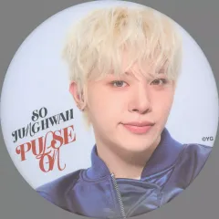 【中古】バッジ・ピンズ ジョンファン 缶バッジ(PULSE ON 01) 「2025-26 TREASURE TOUR [PULSE ON] IN JAPAN」