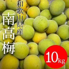 Nana様 山梨県産 20kg 新鮮 中熟～完熟 甲州小梅 - メルカリ