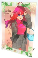 【中古】アクリルスタンド・アクリルパネル 中野五月 アクリルプレート 「五等分の花嫁～GOTO AKIBA!～主要都市店舗フェア」