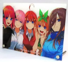 【中古】アクリルスタンド・アクリルパネル 五つ子(正面/バストアップ) 集合アクリルプレートvol.2 「五等分の花嫁～GOTO AKIBA!～主要都市店舗フェア」