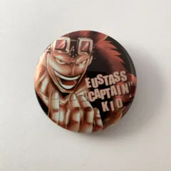 ワンピース ユースタス・キャプテン・キッド 缶バッジ 2010年発売