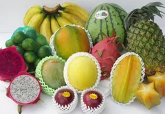 沖縄　果物　旬のフルーツセット　ギフト用オススメ