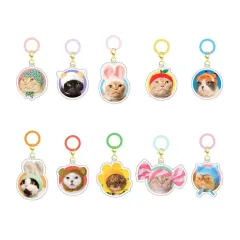 【中古】キーホルダー 全10種セット 「かわいい かわいい ねこのかぶりもの アクリルチャーム」