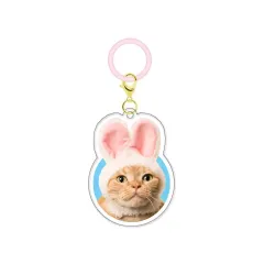 【中古】キーホルダー かわいい かわいい ねこうさぎちゃん 「かわいい かわいい ねこのかぶりもの アクリルチャーム」