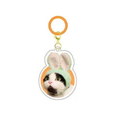 【中古】キーホルダー かわいい かわいい ねこうさぎちゃん～スイーツカラー～ 「かわいい かわいい ねこのかぶりもの アクリルチャーム」