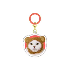【中古】キーホルダー かわいい かわいい ねこくまちゃん 「かわいい かわいい ねこのかぶりもの アクリルチャーム」