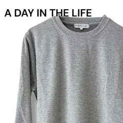A DAY IN THE LIFE UNITED ARROWS LTD. アデイインザライフ ユナイテッドアローズ ライトグレー クルーネック 長袖 カットソー Tシャツ ポリエステル レーヨン メンズ Lサイズ シンプル カジュアル 0001165OCのサムネイル