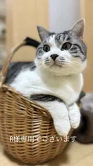 R様専用でございます…*＊