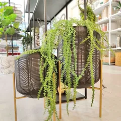 【568円引】アイアン キャンドルホルダー Lサイズ ブラック ゴールド 高さ48cm アンティーク調 オブジェ ディスプレイ 什器 インテリア雑貨 生活雑貨 デコレーション 【新品・送料無料】