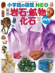 [중고] 단행본(실용) ≪도감·사전·연감≫ DVD 첨부) 쇼가쿠칸의 도감 NEO 암석·광물·화석[신판]