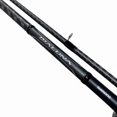 シマノ 18ディアルーナ S100M シマノ「23ディアルーナS100M」のインプレ!青物やヒラメでも使える