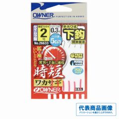 下針 時短ワカサギ