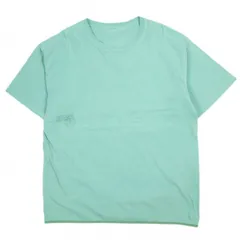 ESSAY エッセイ TS-2 CUSTOM PGM TEE カスタムプリントTシャツ ES08TS-02 S PALE GREEN 半袖 トップス g25546のサムネイル
