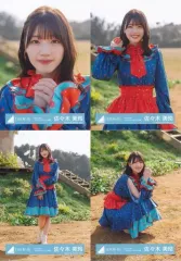 【中古】生写真(乃木坂46) ◇佐々木美玲/日向坂46ランダム生写真【7thシングルカップリングユニット衣装】 4種コンプリートセット