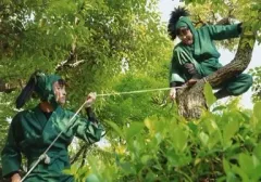 【中古】生写真(男性) 林明寛(七松小平太)・鷲尾修斗(中在家長次)/横型・衣装緑・木登り・ロープ・舌出し・キャラクターショット/ミュージカル「忍たま乱太郎」第四弾 「最恐計画を暴き出せ!!」