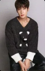 【中古】コレクションカード(男性) SEVENTEEN/WONWOO(ウォヌ)/裏面青・印刷サイン入り/「DICON D’FESTA MINI EDITION SEVENTEEN」フォトカード