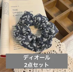 【新品未使用】　2点セット　CHRISTIAN DIOR  オブリーク　ヘアゴムのサムネイル