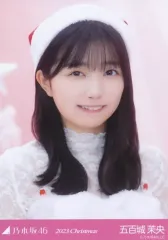 【中古】生写真(乃木坂46) 五百城茉央/バストアップ/「2023.Christmas」WebShop 限定個別生写真