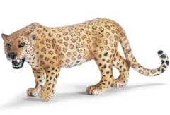 【中古】フィギュア ヒョウ 「Schleich-シュライヒ-」 NO.14360