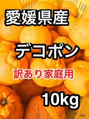 【愛媛県産 デコポン 不知火 10kg】濃厚甘み・ジューシー 訳あり家庭用 産地直送 送料無料