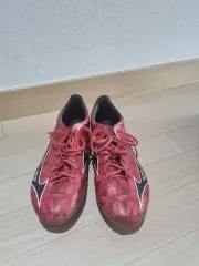 ミズノ アルファ ジャパン 285 出品