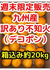 訳あり・加工向け】屋久島産タンカン 約20kg 送料込み価格 | Mercari