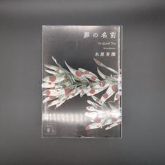 罪の名前  / 木原 音瀬 / 9784065208106