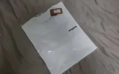 新品 パタゴニア オーガニック P-6 ロゴ Tシャツ