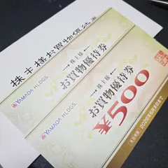 ヤマダ電機　YAMADA HDGS お買物優待券 ¥500×2枚の1000円分