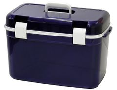 Item thumbnail for item bb6c04e8-ec78-4dee-ac45-8d214792c1ce