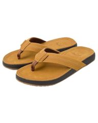 Item thumbnail for item 9760cdf9-ff22-4b92-b22b-ae42ec4c0578