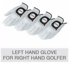 Item thumbnail for item b2c16f55-12cc-4081-8e97-54274d5b09fb