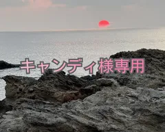 専用です。キャンディ様