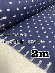 Item thumbnail for item afcc250b-fec0-4efb-952a-97e02e4430ae