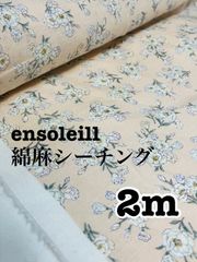 Item thumbnail for item 40971c09-e077-48b9-bc72-30ff68a8a7a8