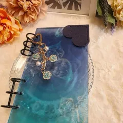 ◆韓国人気SNS◆A6アクリルバインダーset貯金saving家計管理 蝶々