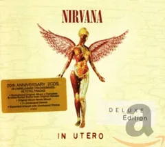 2026年最新】nirvana in utero レコードの人気アイテム - メルカリ