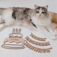 うちの子記念日　誕生日　名入れ　ハッピーバースデー　レターバナー　記念日フォト　バースデーフォト　木製　ケーキ　お祝い