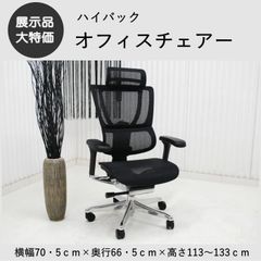 廃盤 エルゴヒューマン ベーシック 革張り本革レザーシートローバック 