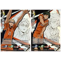 2枚] 月島蛍 頂 HV-P02-003 セット 烏野高校 ハイキュー!! バボカ