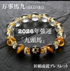 九眼天珠 フェニックスクォーツ モリオン ブレスレット レディース 