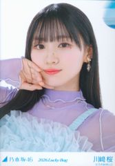 乃木坂46 lucky bag 2026 個別のぼり 川﨑桜 - メルカリ